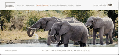Karingani Holding Company